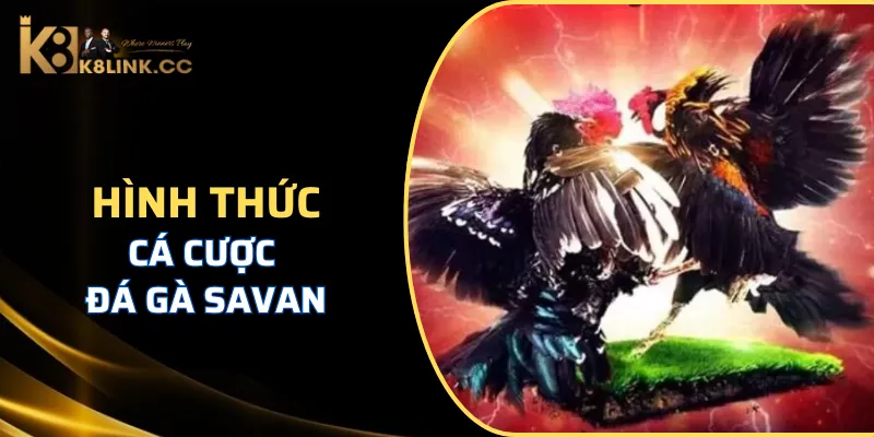 Tổng hợp các hình thức đá gà Savan hôm nay